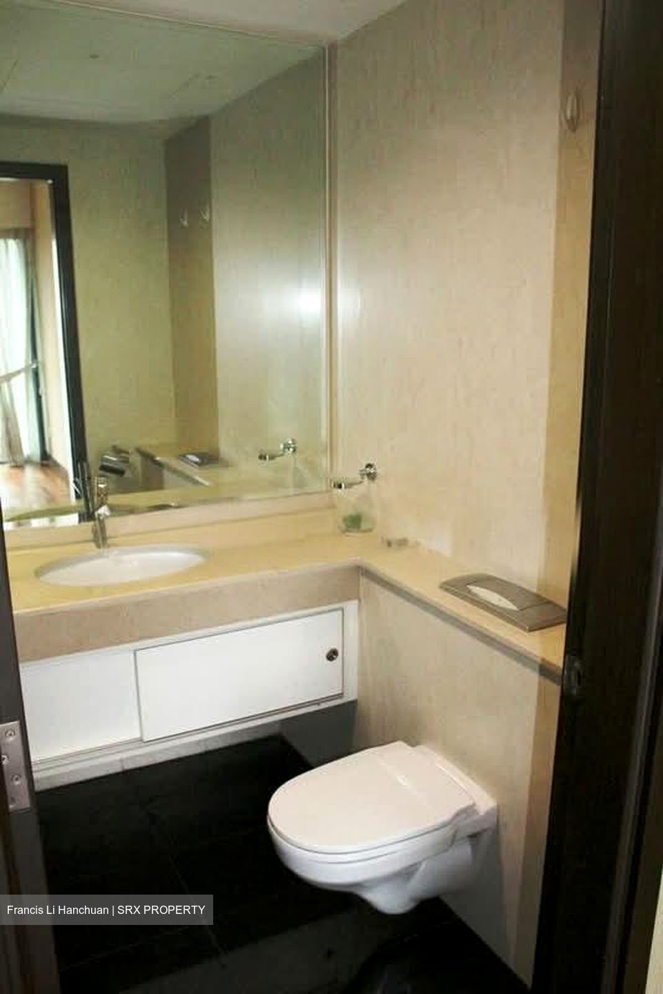 Watermark Robertson Quay (D9), Apartment #573270361